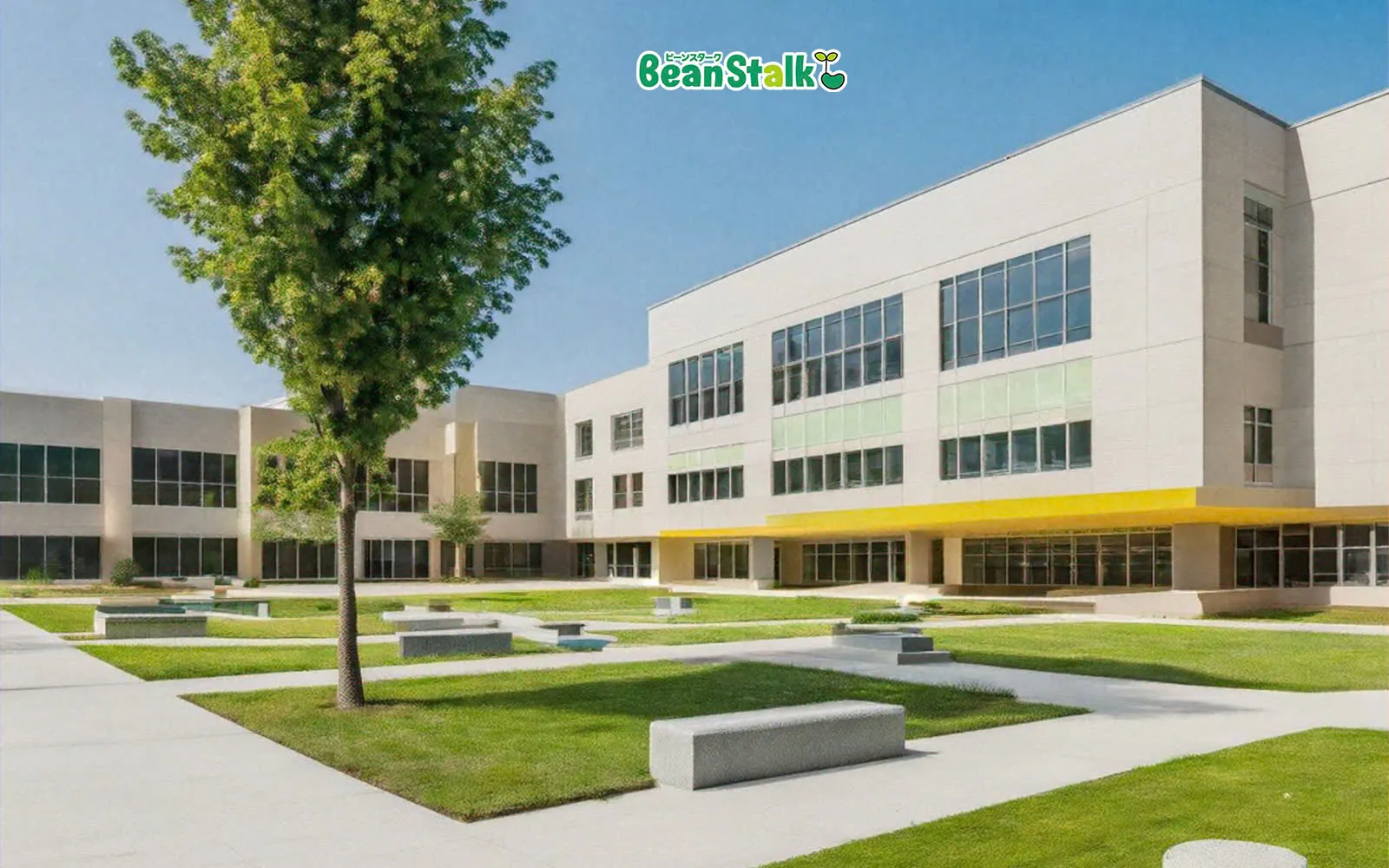 company image